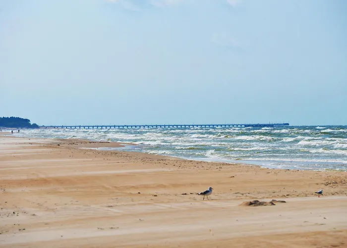 Apartment Segrate Elija *